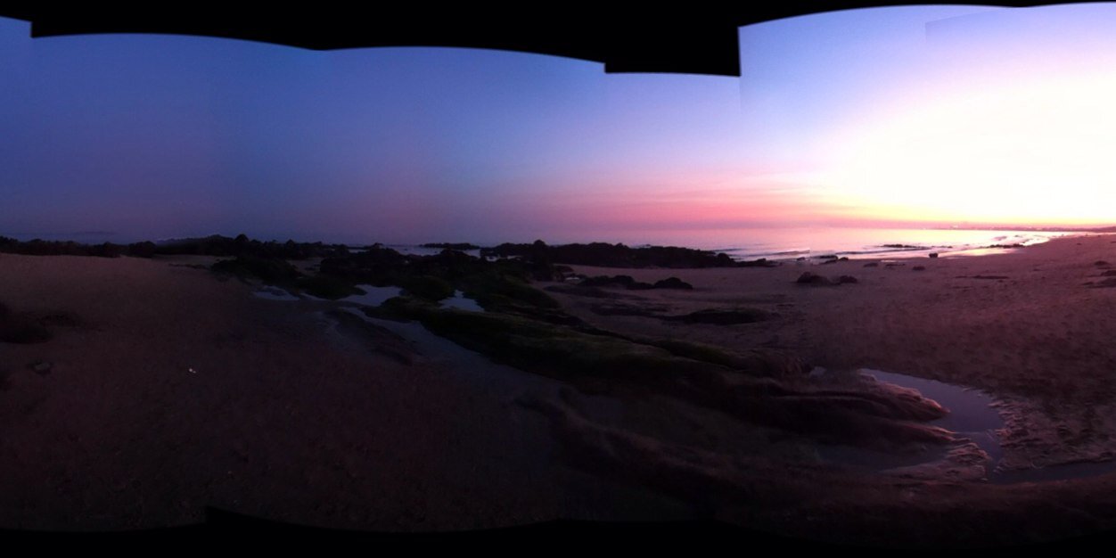 Ashleigh Spence banner