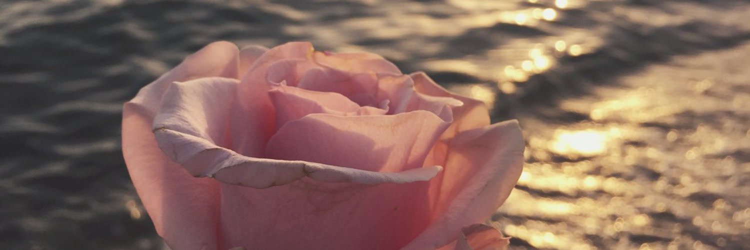 lexisblonde's profile banner image