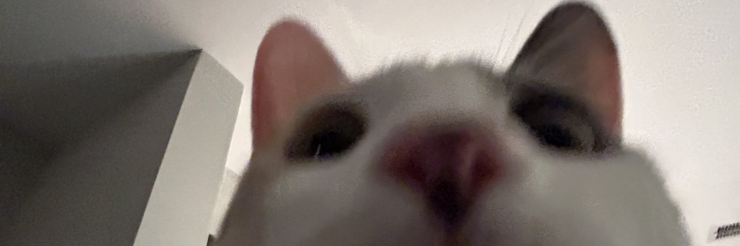 mirandamodo's profile banner image
