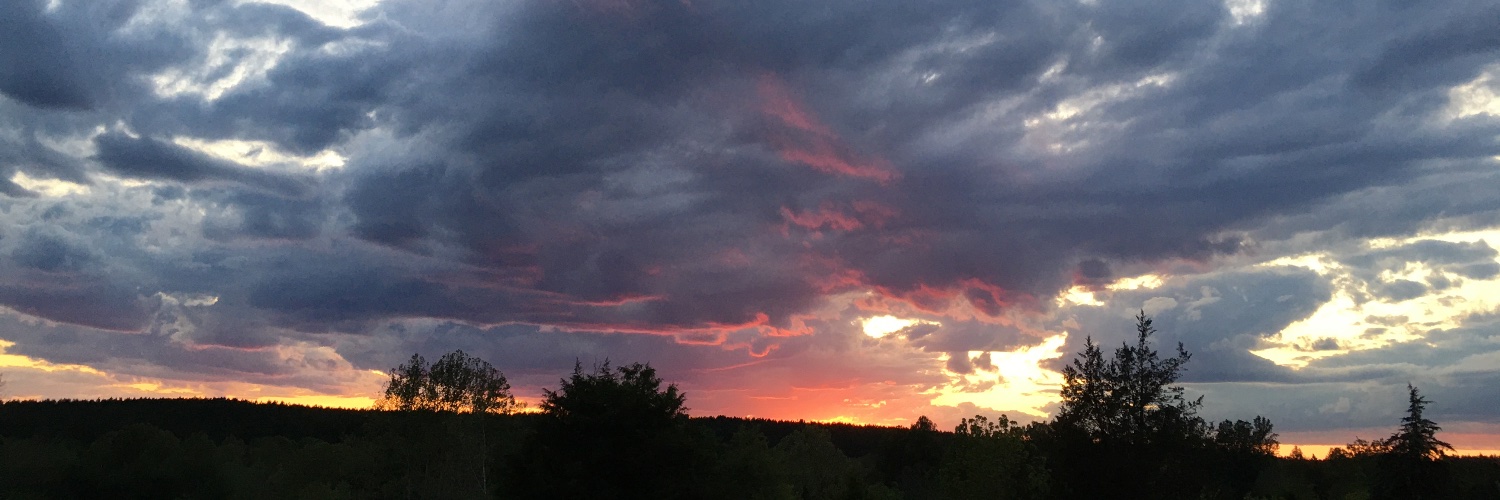 Carol (not Carolyn) banner