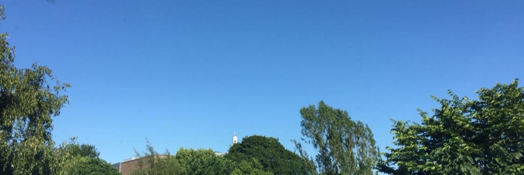 gul_lars's profile banner image