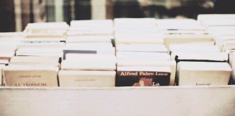phoebecmlgdr's profile banner image