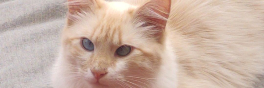 Lauuralau92's profile banner image