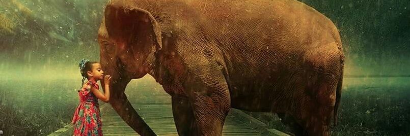 bikashbehera01's profile banner image