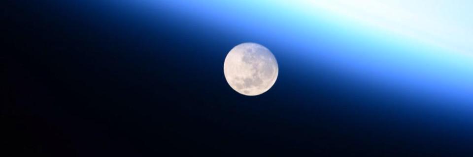 NN (𓈖𓈖 𓏸 𓏺 𓏸 𓏺 𓏸) banner