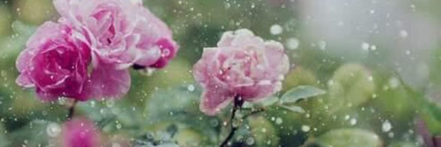 LOVER_1232's profile banner image