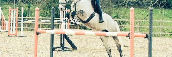 Hazel1Bailey Profile Banner