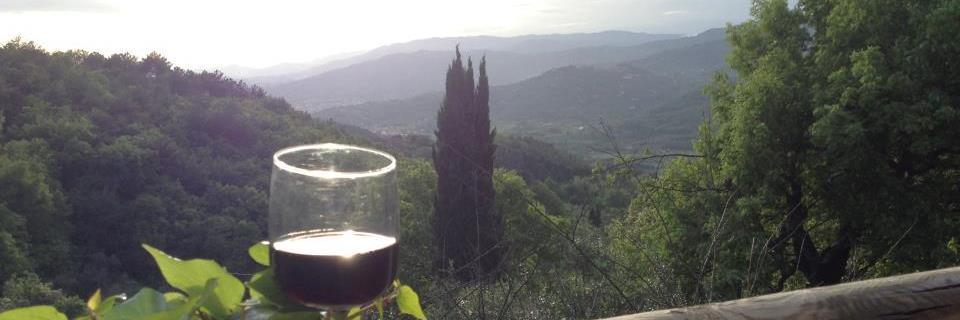 JaymeFanucci's profile banner image