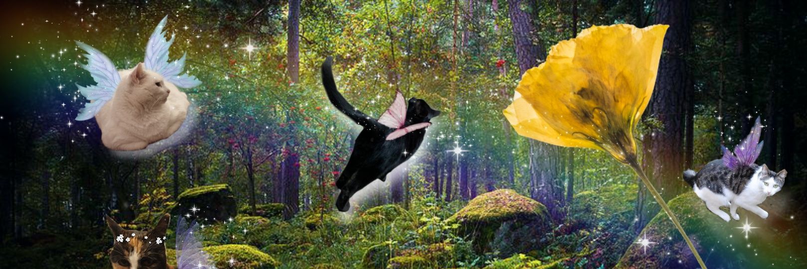 AppleAppelgebak's profile banner image