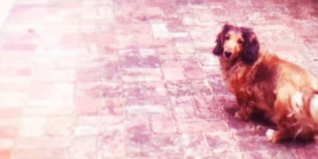 debbieeeeee's profile banner image