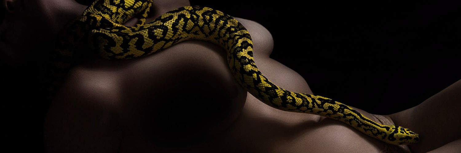 mdz_imagery's profile banner image