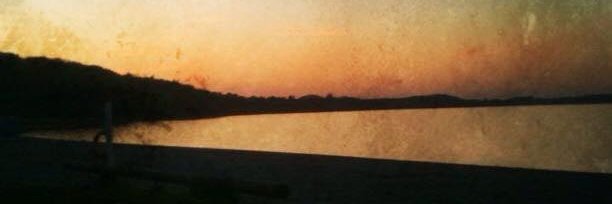 munyskine's profile banner image