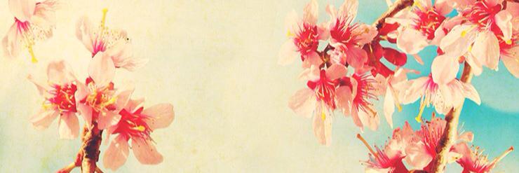 KoseEda's profile banner image