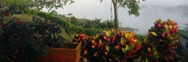 MarcelaBenjumea Profile Banner