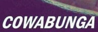 peace enthusiast banner