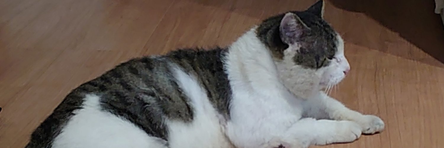 Catfish0516's profile banner image