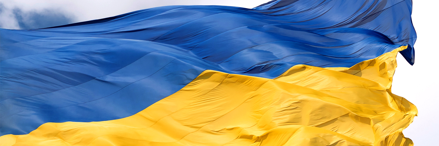Razom for Ukraine 🇺🇸🤝🇺🇦's banner