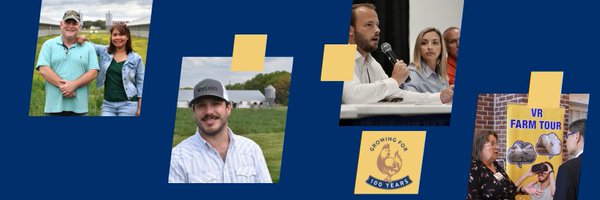 dcachicken Profile Banner