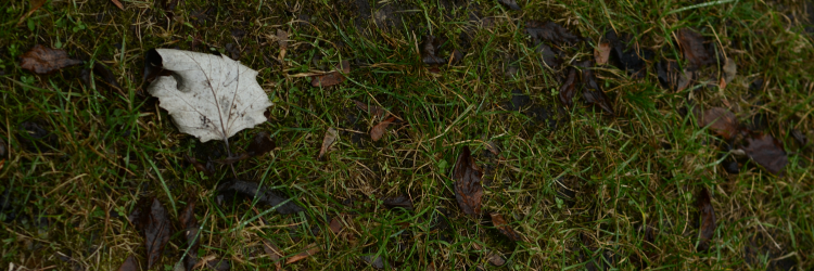 trendzseterem's profile banner image
