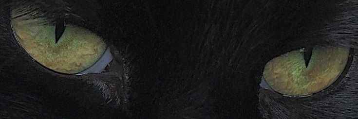 HEattCLift's profile banner image