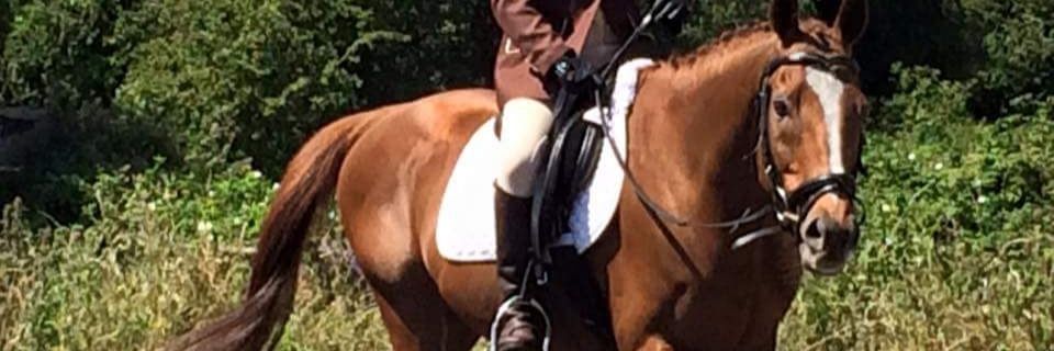 Mooffled🐄Berri banner