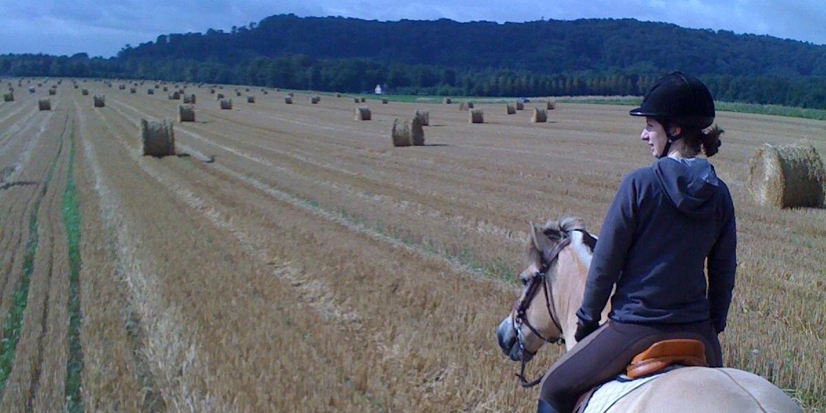 AlexB_S's profile banner image