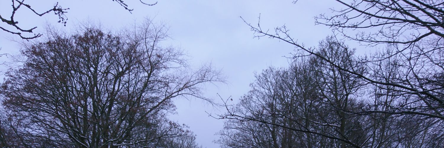Espiresso's profile banner image