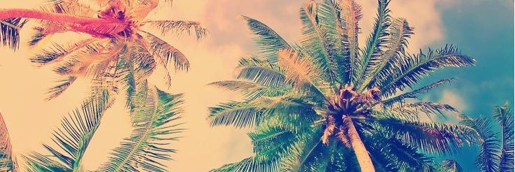 CynikalMusic's profile banner image