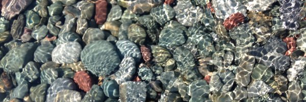 Cindyannfinn Profile Banner