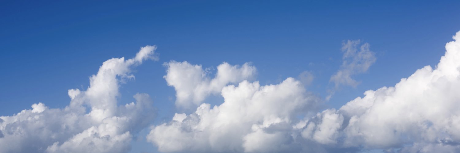 Miranda Whiting banner