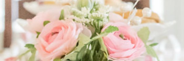 Jacque Schrock banner