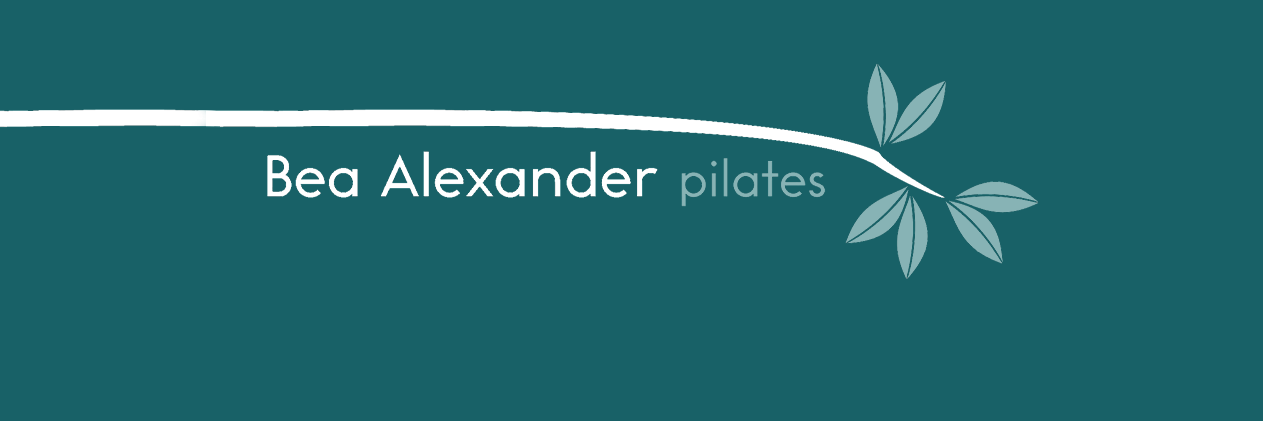 Beaalexander's profile banner image