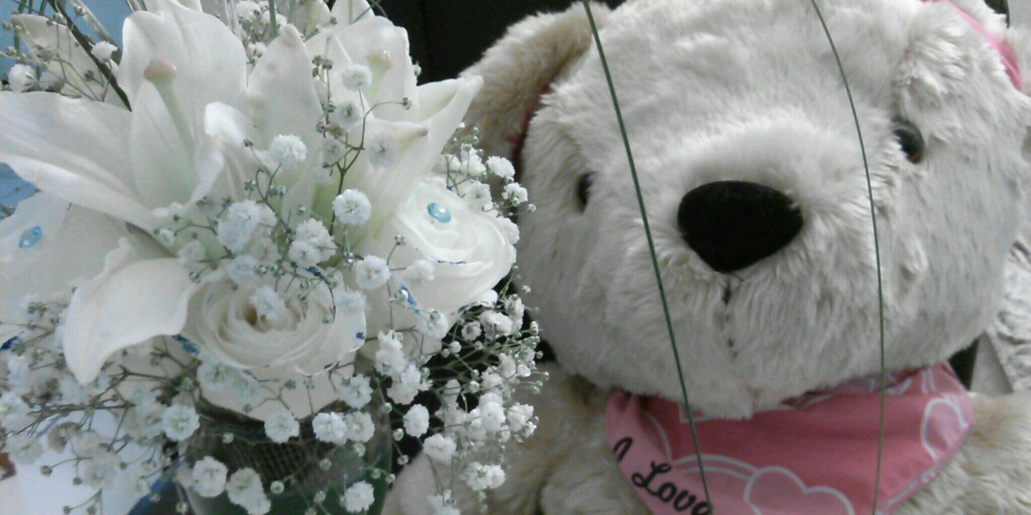 BlueHeartLove7's profile banner image
