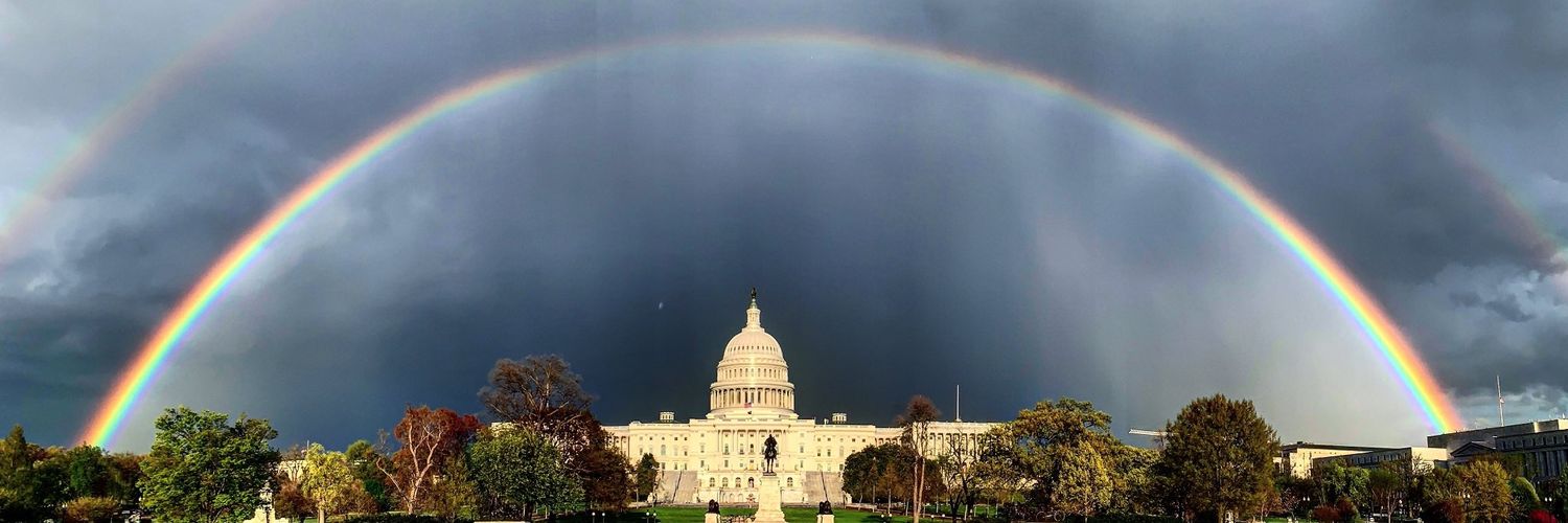 Lynn Overmann banner
