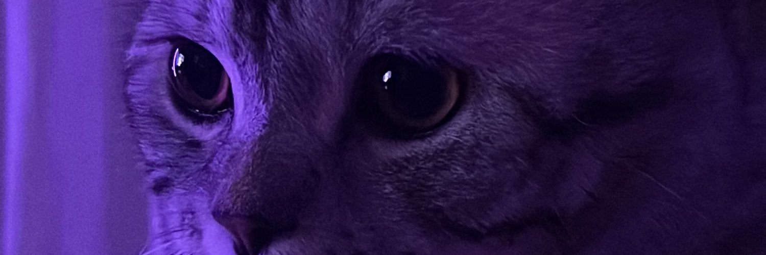 begiione's profile banner image