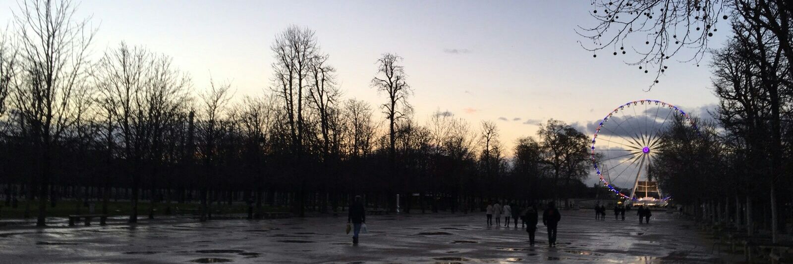 dadozanatta's profile banner image