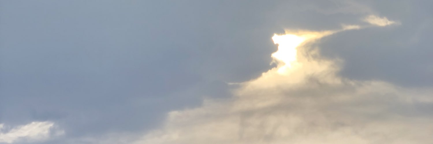 sinistare's profile banner image