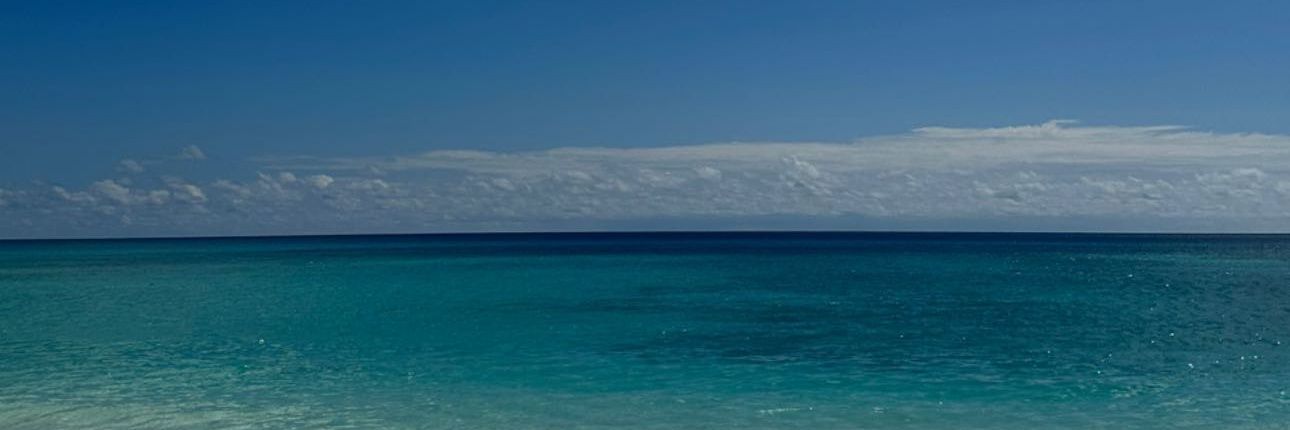 RenWindsor's profile banner image
