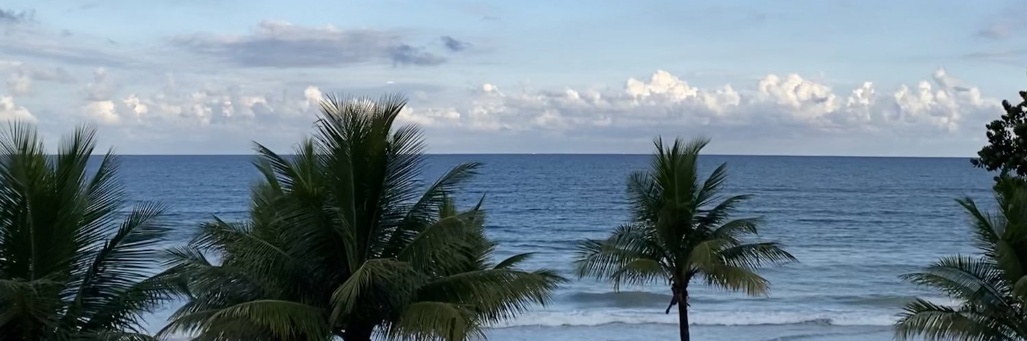 rebeccazlima's profile banner image