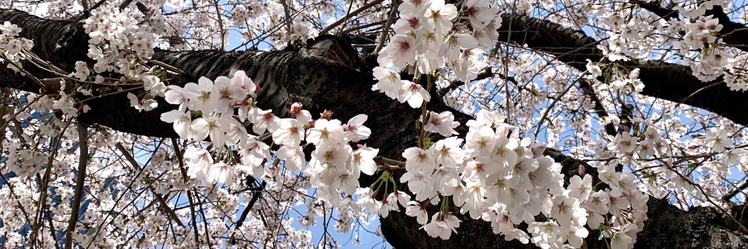 さつ's banner
