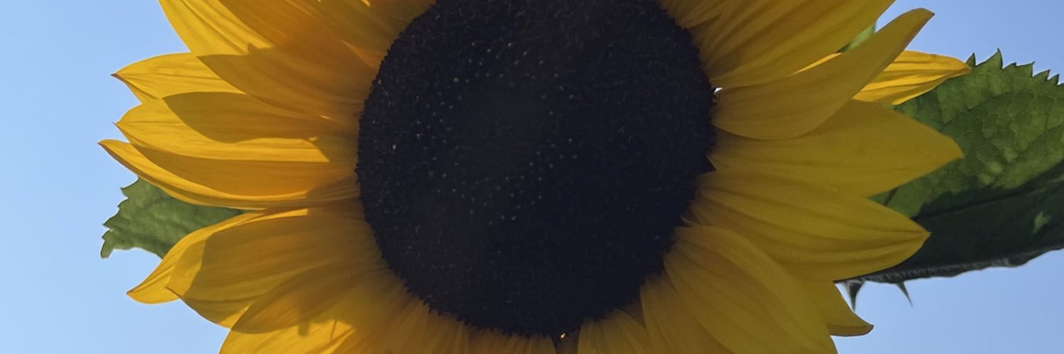 yhazbc's profile banner image