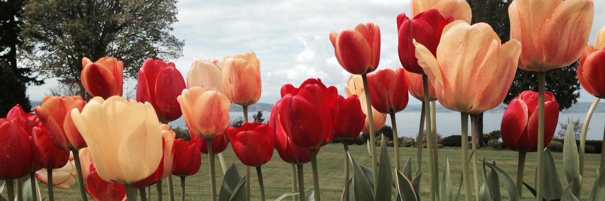 NancyAnnZ's profile banner image