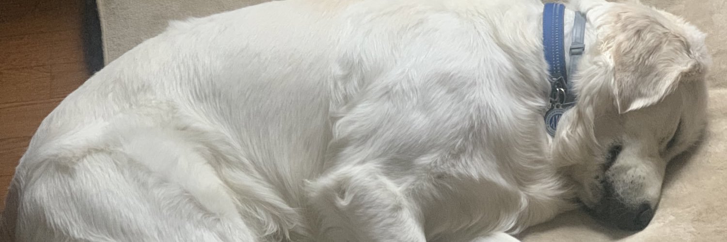 CrystalBodyCare's profile banner image