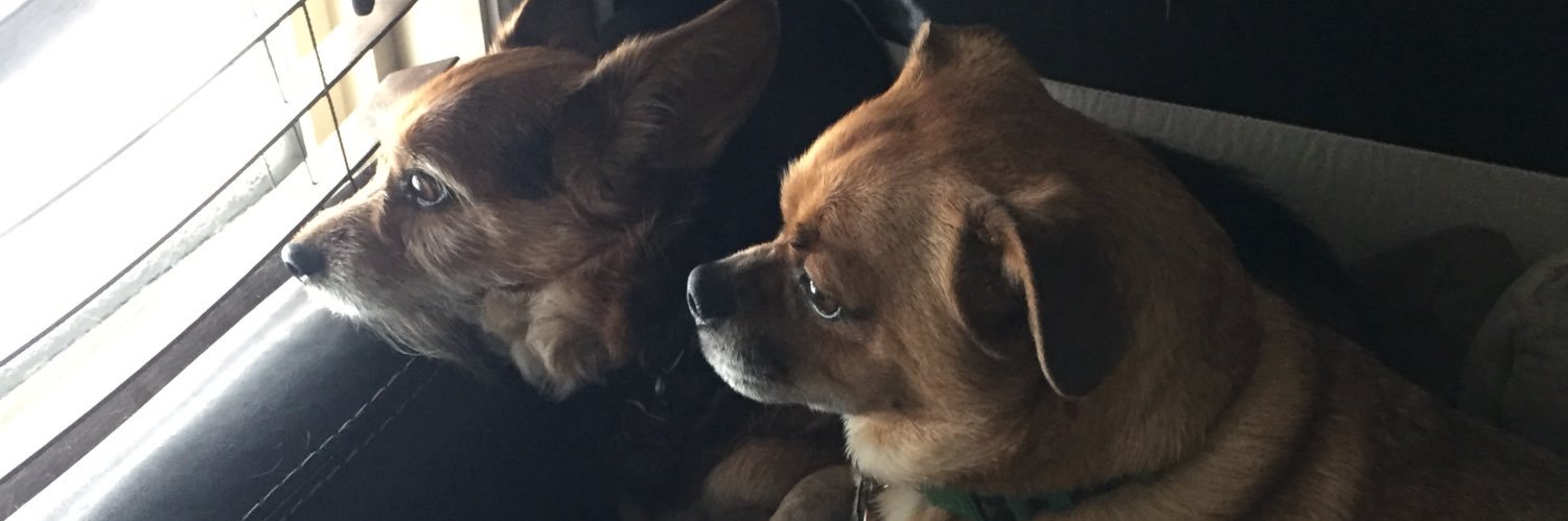 James Stevenson banner