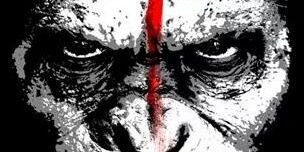 OpFunKill3's profile banner image
