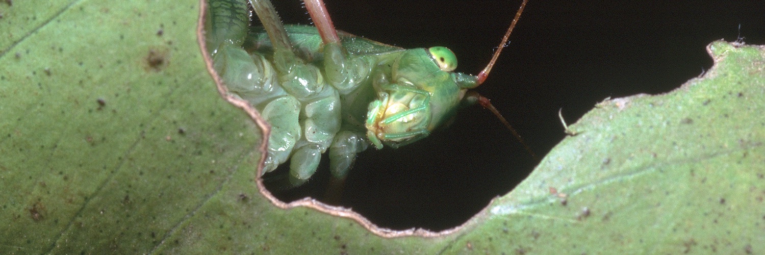 UC Statewide IPM Program banner