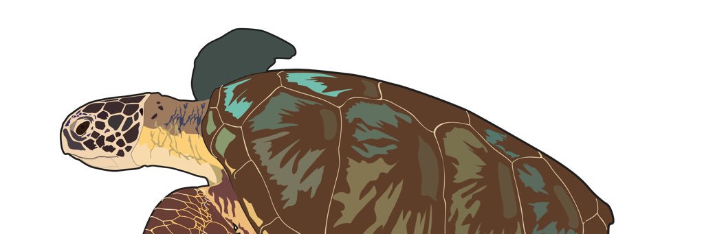 ocean_rup's profile banner image