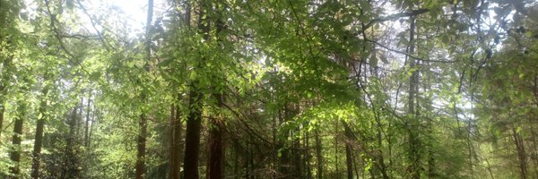 TreehouseCIC Profile Banner