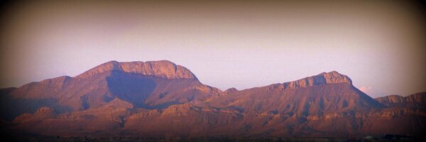 ShadowDogDesign Profile Banner