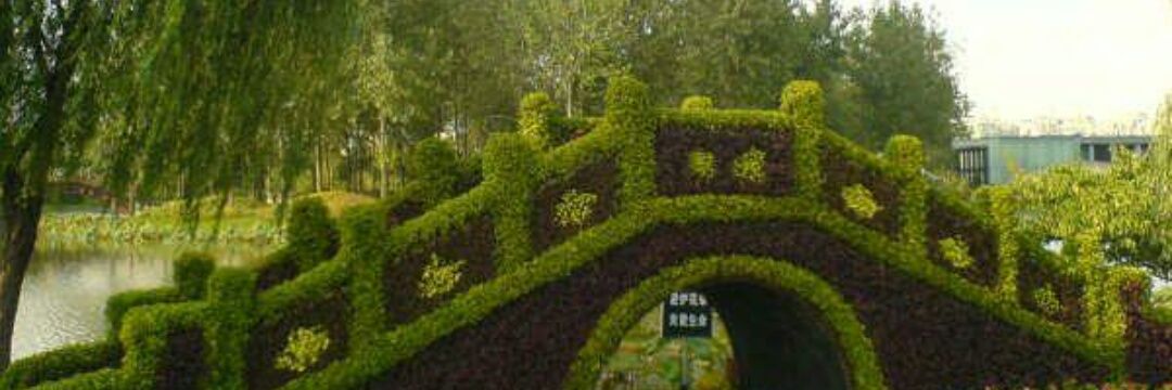 biarq77's profile banner image